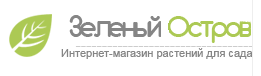 Зеленый остров